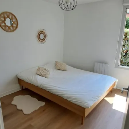 Soleil Toulousain Apartment *