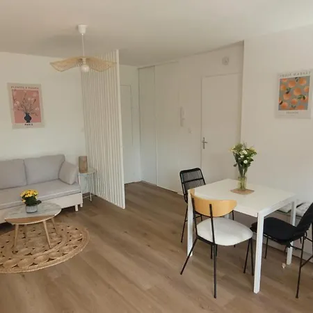 Apartment Soleil Toulousain *