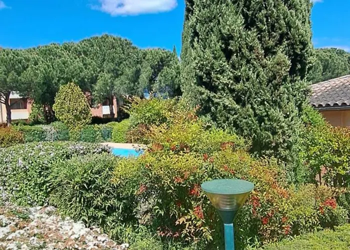 Soleil Toulousain Daire *