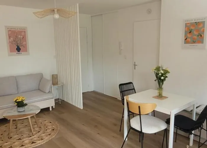 Apartment Soleil Toulousain *